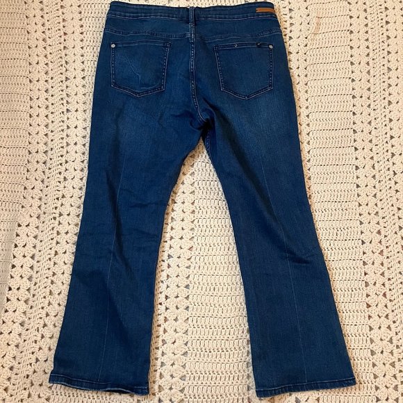 Pilcro and the Letter Press for Anthropologie High-Rise Bootcut Jeans Size 32 - Picture 7 of 12